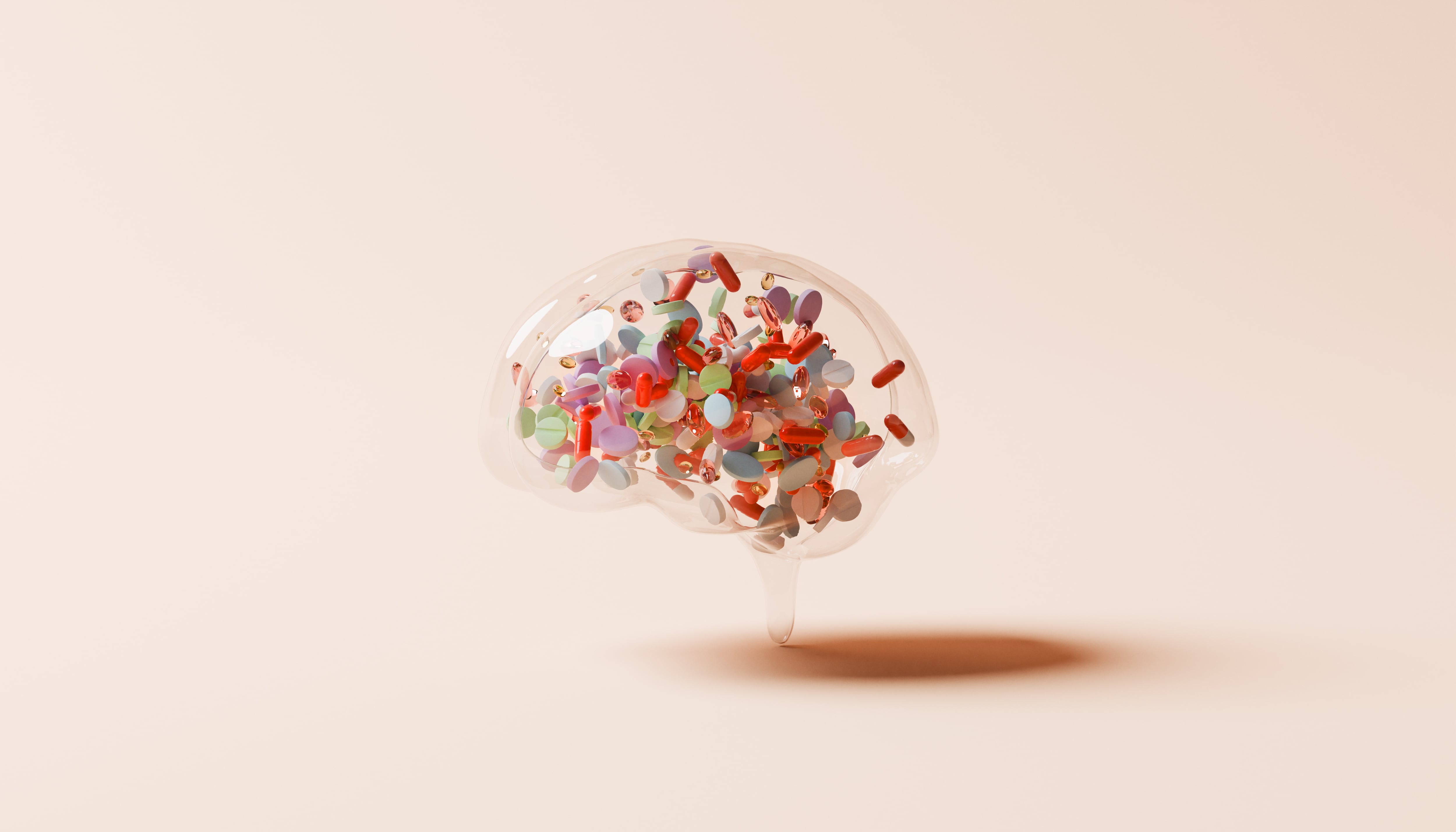 Meta-analysis reveals key bioactives for cognition and gut health