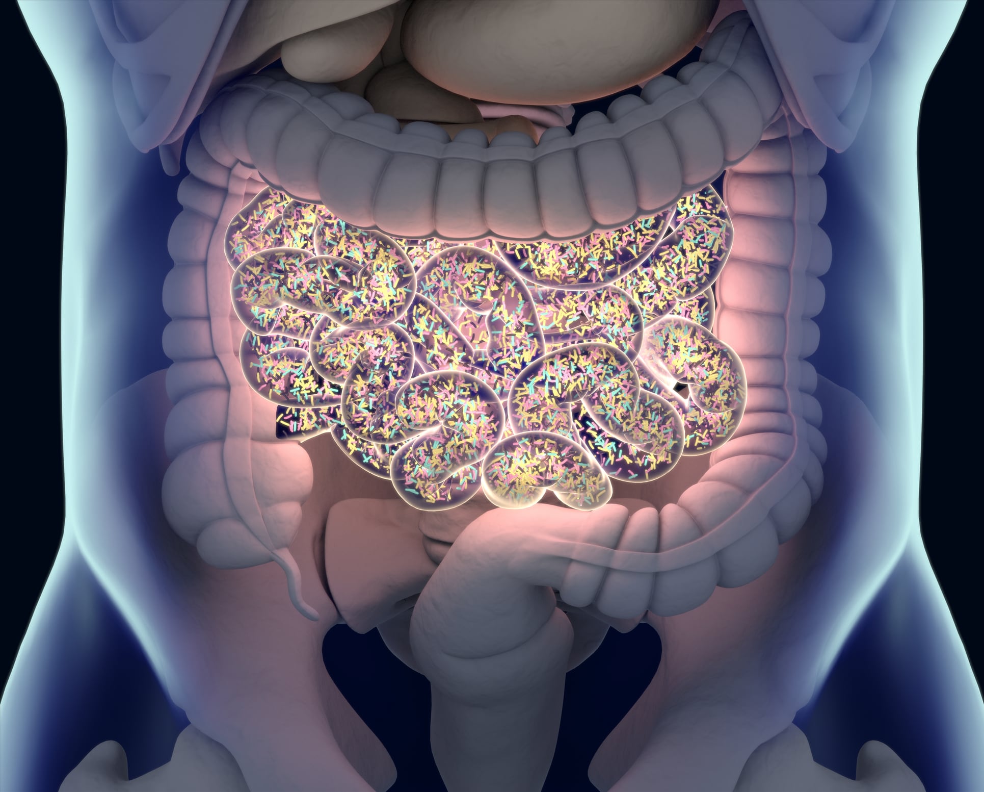 Probiotics and prebiotics could reduce chemo side effects, say researchers