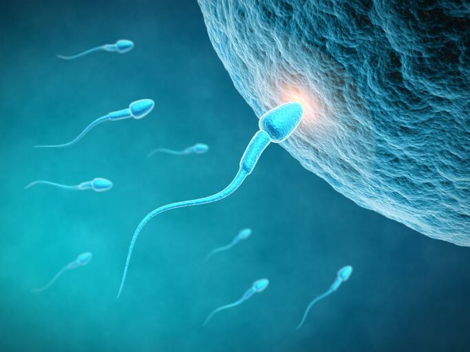 Low sperm count post bariatric surgery linked to low zinc, copper and iron