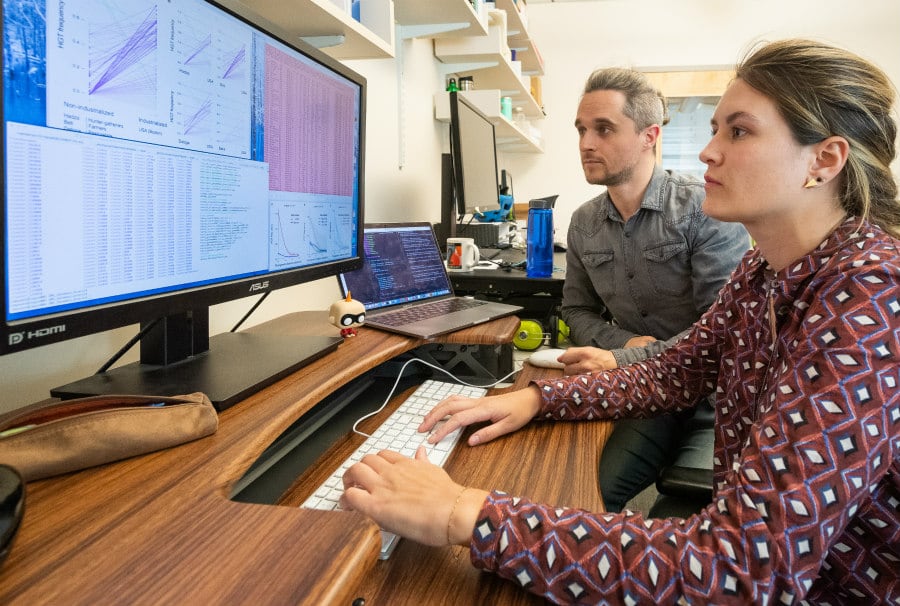 Global study finds gut bacteria swap genes at different rates, depending on living situation