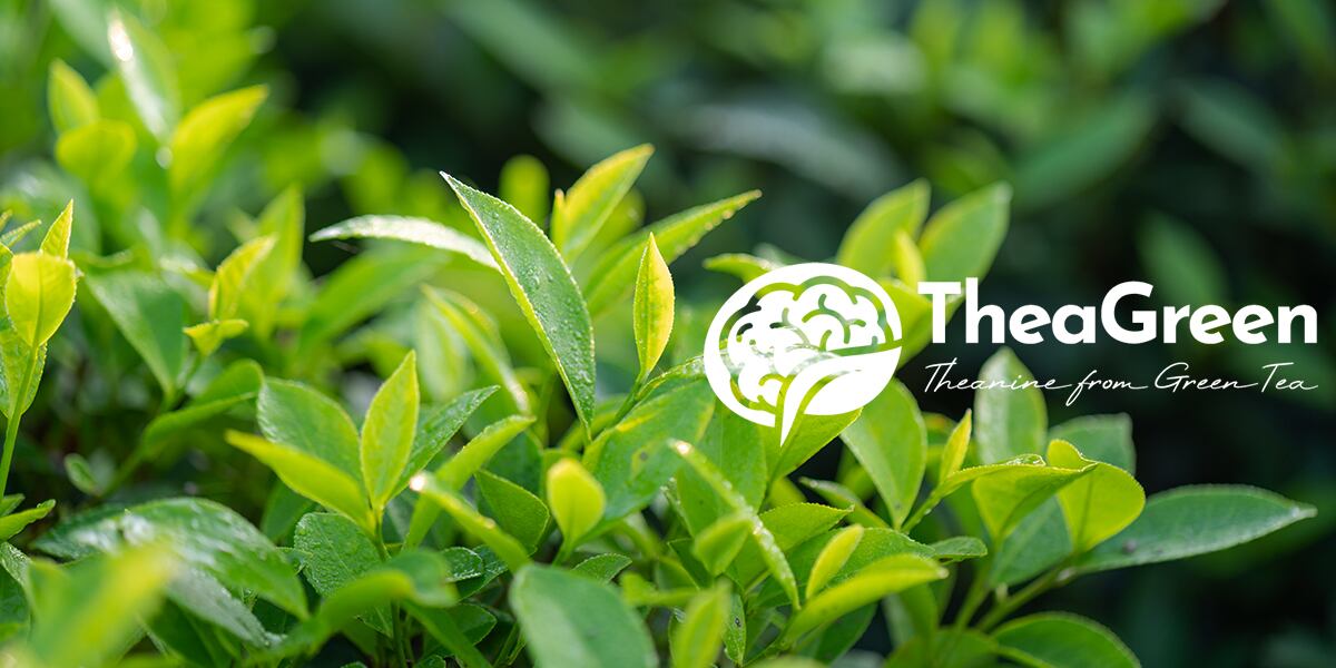 Cambridge-Commodities-launches-naturally-sourced-L-theanine.jpg
