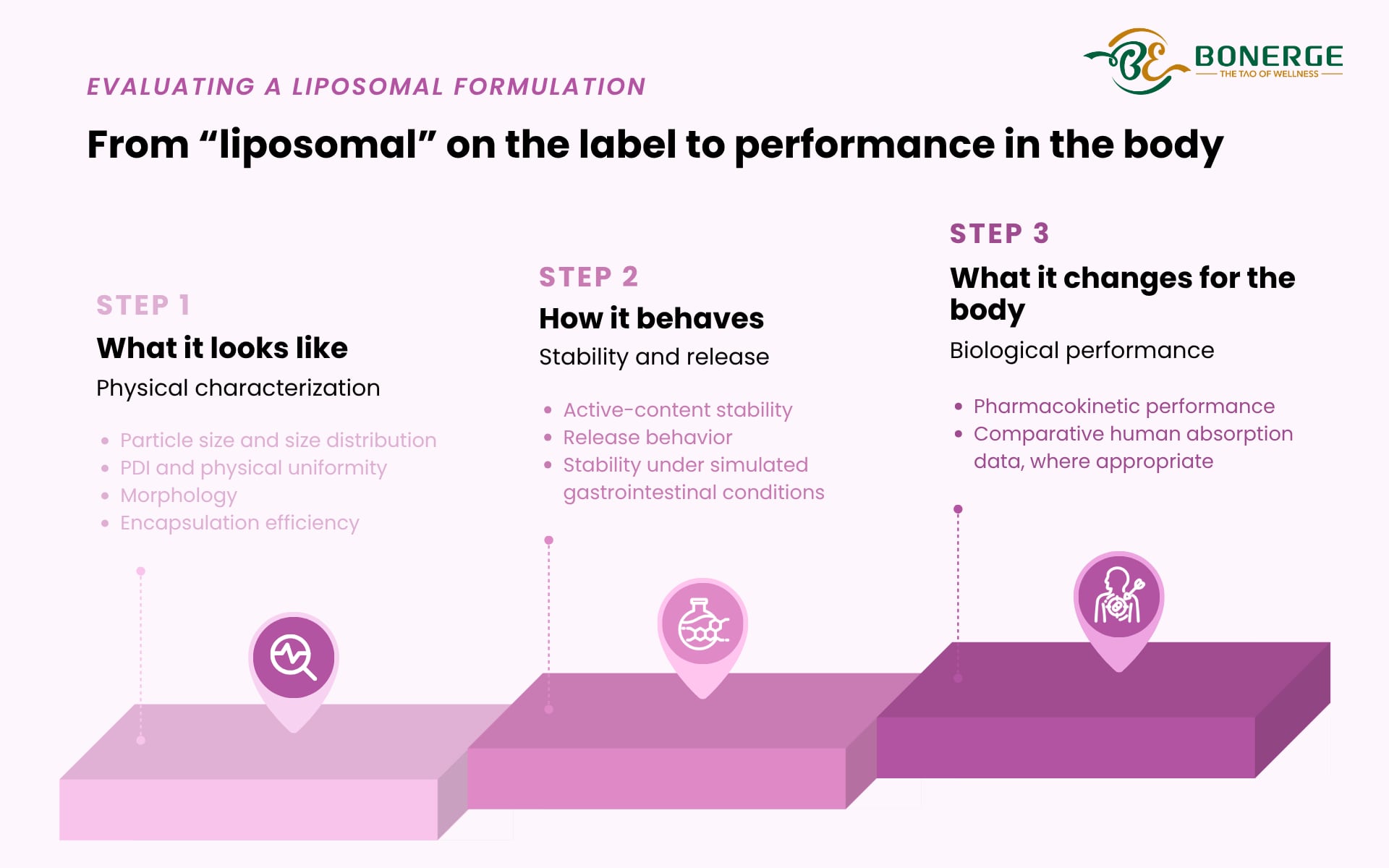 Framework for evaluating a liposomal formulation: particle size, PDI, encapsulation efficiency, stability and pharmacokinetics