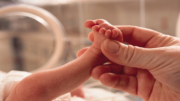 Safety of homogenised human milk must be established before products hit the market