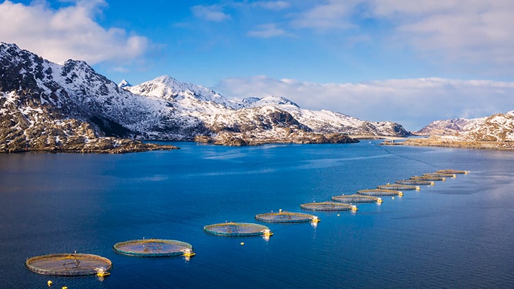 ProGo® Salmon Protein Hydrolysate: A Sustainable Strategy for Weight Management