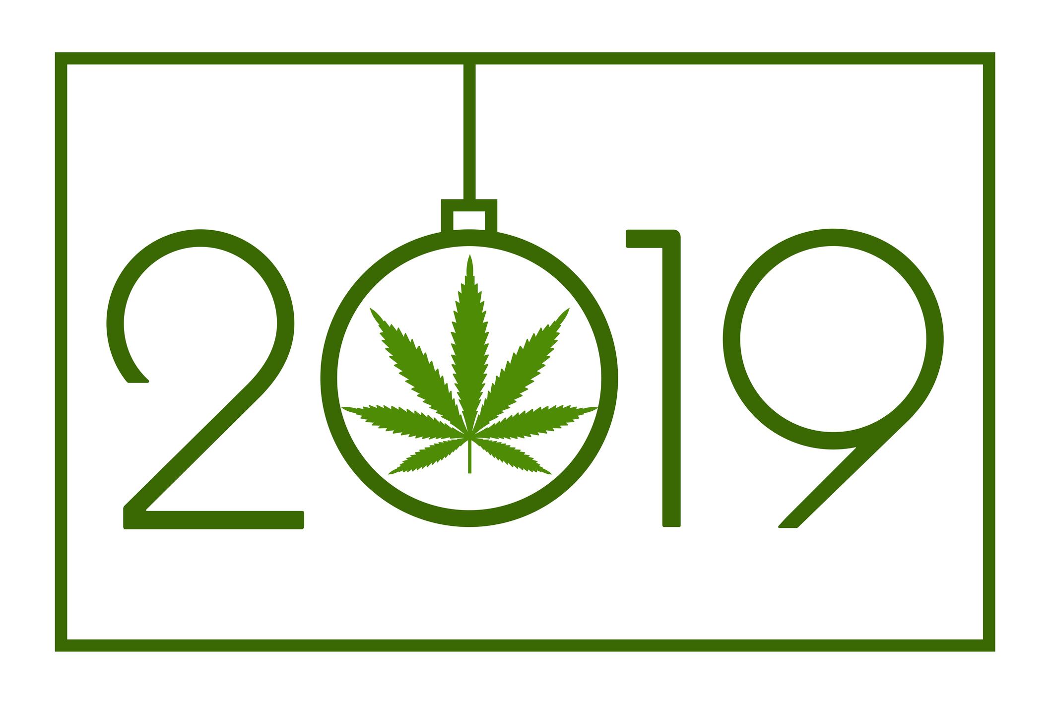 NPA-review-of-2019-CBD-Goes-Mainstream.jpg
