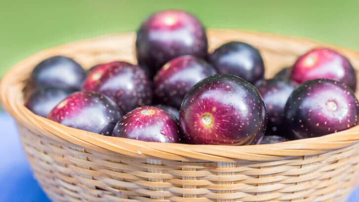 Muscadine wine polyphenols may improve skin from within