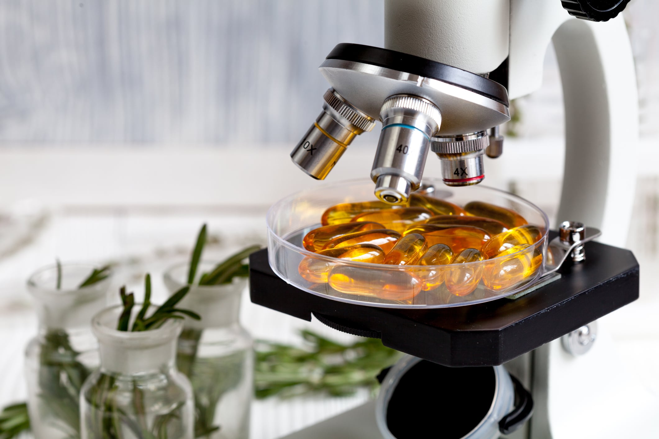 concept - check dietary supplements in petri dish at laboratory on microscope no one