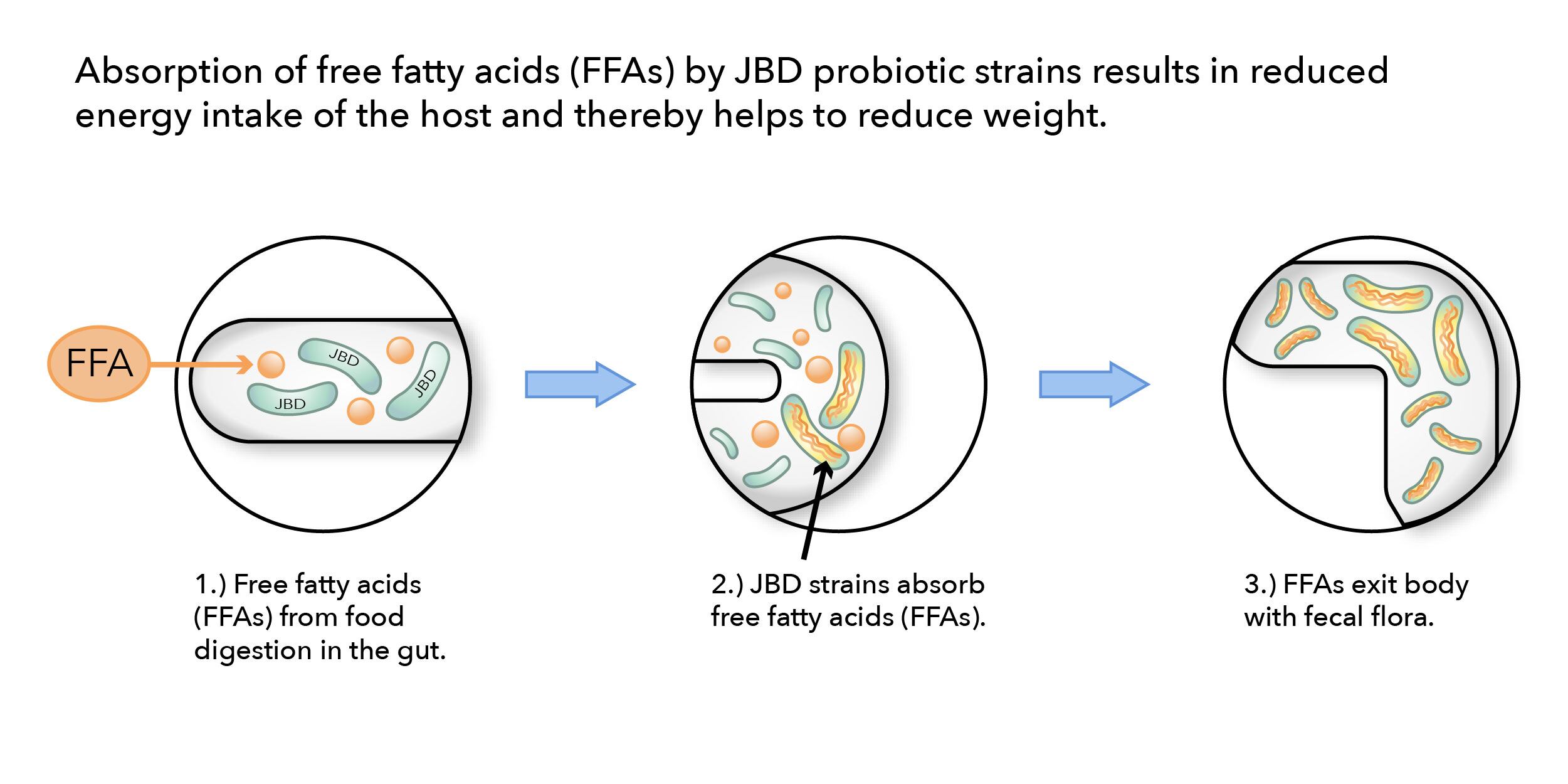 JBD-Graphics-02.jpg