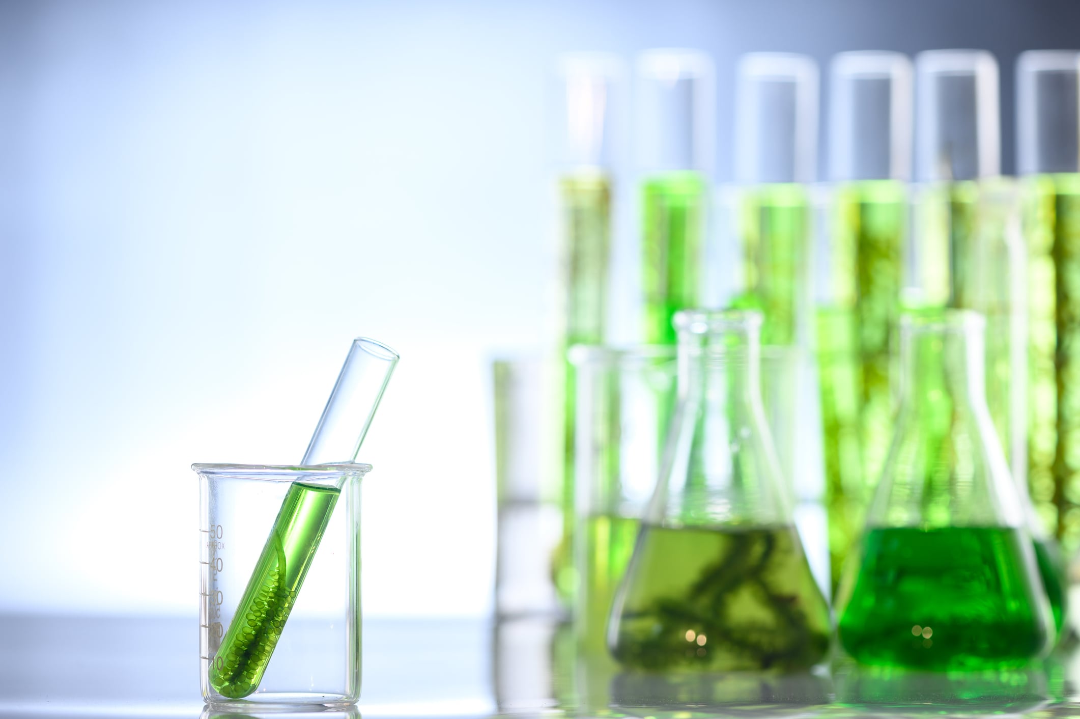Seaweed extract shows gut health and immunity benefits in athletes