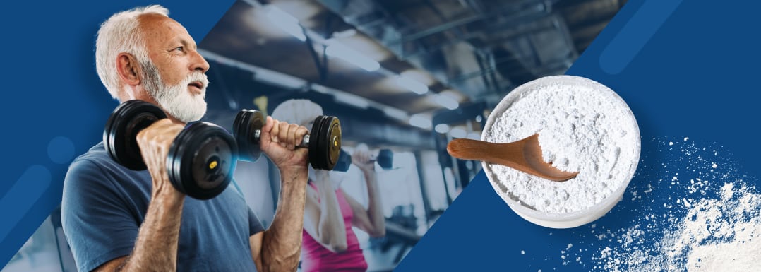 Low-molecular-weight-whey-protein-for-muscle-health-and-healthy-ageing.png