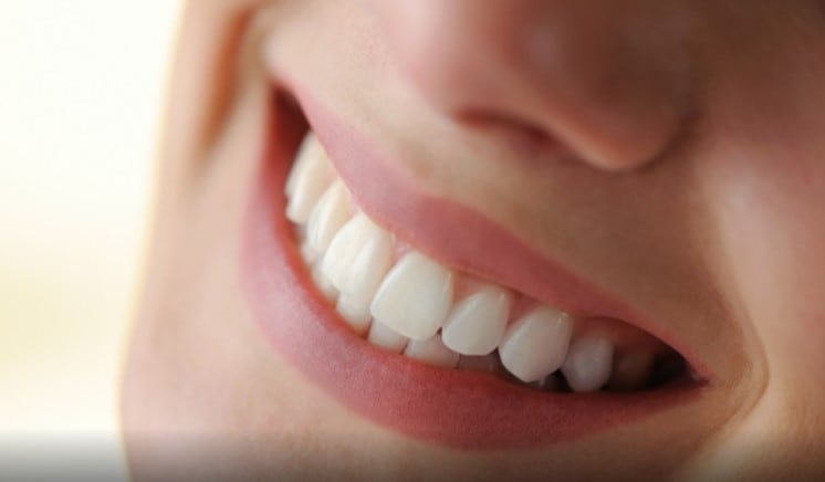 Probi becomes ‘owner and partner’ in Blis Technologies’ oral probiotic interests 