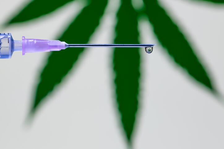 Hemp compounds block COVID-19, study finds