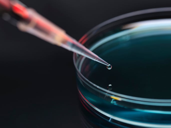 Study of enzyme blend in aging gut model part of new R&D emphasis, manufacturer says