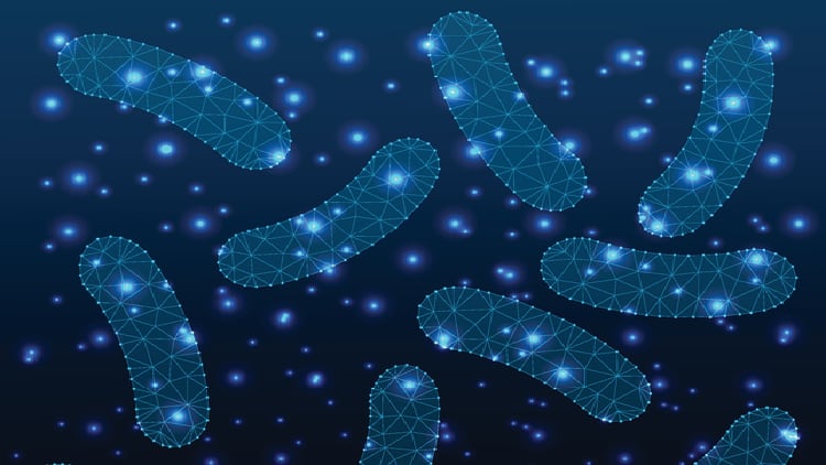 Multi-omics, metabolites and clinical trials: Three keys to the future of microbiome and immunity research