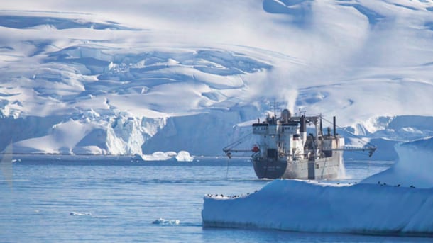 Aker-reaches-profitability-extends-leadership-in-krill-harvesting_strict_xxl.png