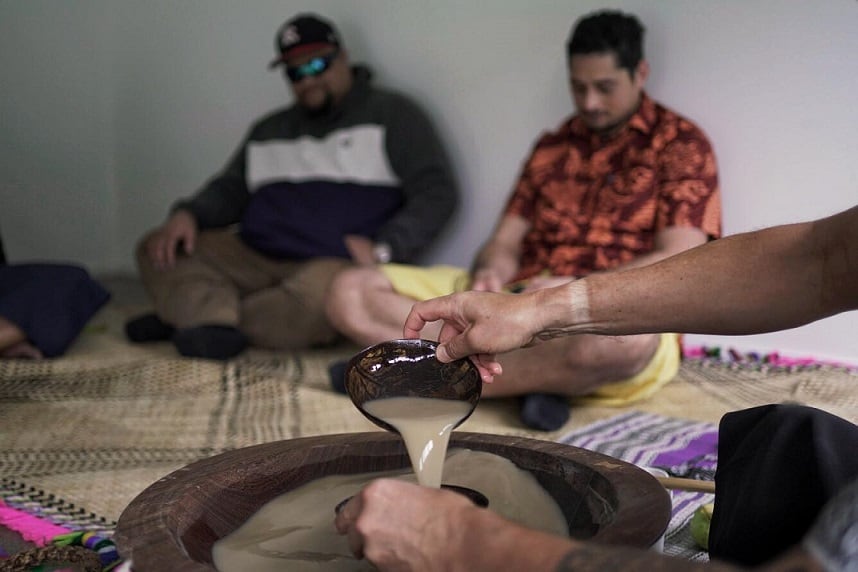 Seeing kava in a new light: NZ study to explore therapeutic potential of traditional kava use in trauma