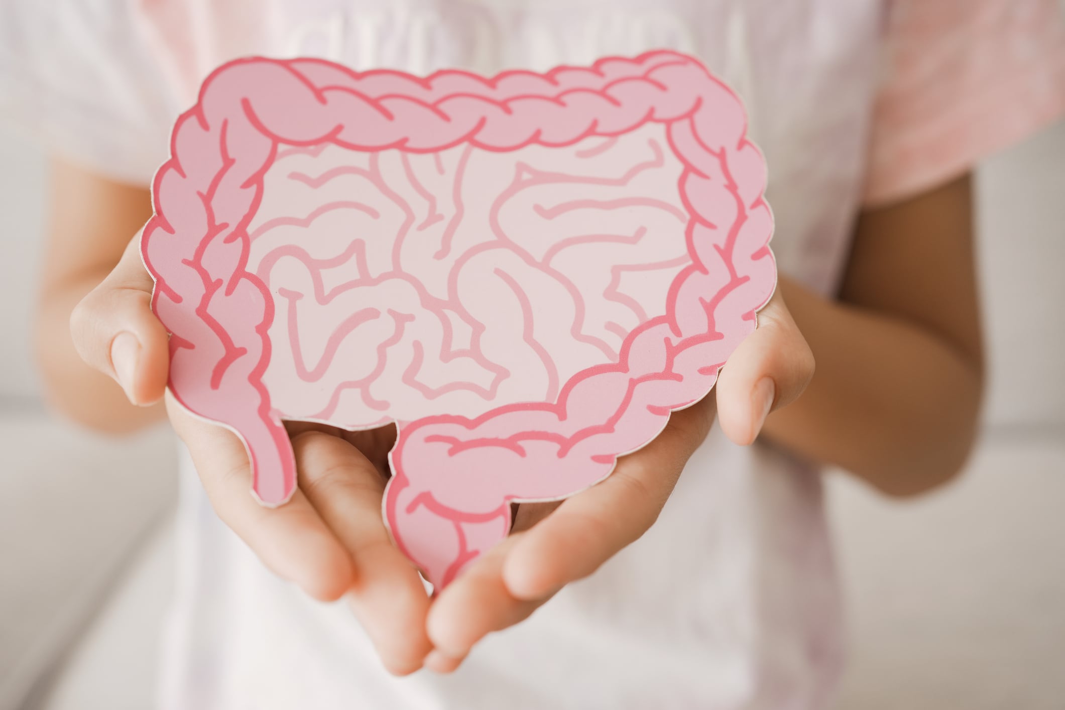 hands holding intestine shape, healthy bowel digestion, leaky gut, probiotics and prebiotics for gut health, colon, gastric, stomach cancer concept