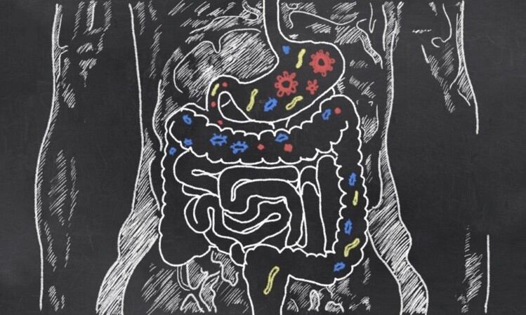 Inter-species-communication-New-study-shows-gut-bacteria-can-control-our-genes-and-development.jpg