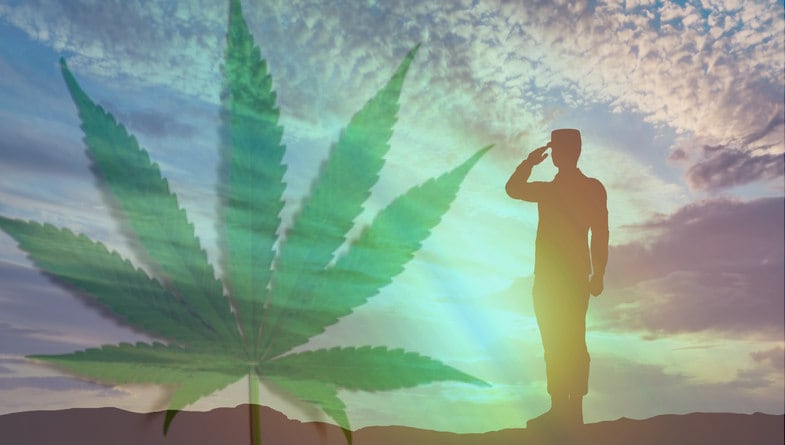 CBD firm and vet group partnership highlight issue of CBD for active military 