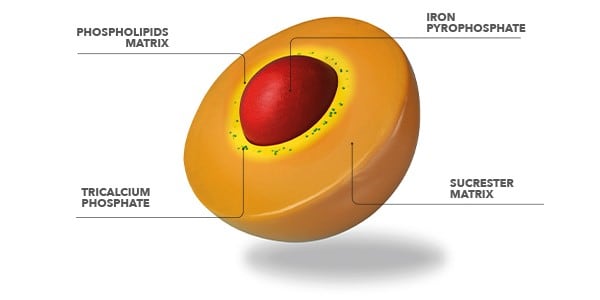 Picture2.jpg