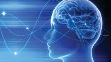 Increase alpha brainwave levels to create a state of relaxed alertness, reducing anxiety and stress