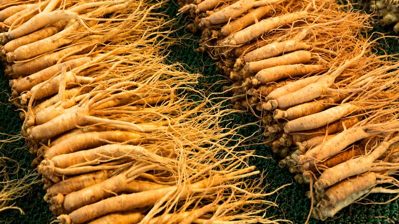 Korean red ginseng by-product found to contain anti-ageing properties and protect against UV damage – new study