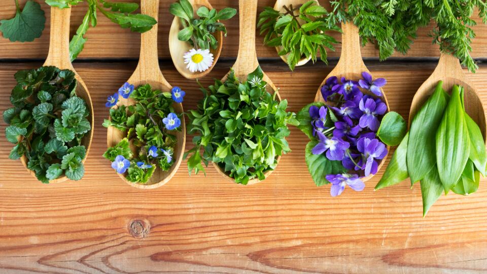 'Draconian and prejudiced': Proposal to tighten complementary medicine laws draws Blackmores' ire