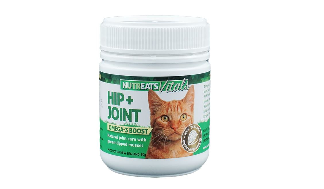 Mussel-ing in on China: NZ’s Nutreats taps growing pet ownership with new arthritis cat supplement