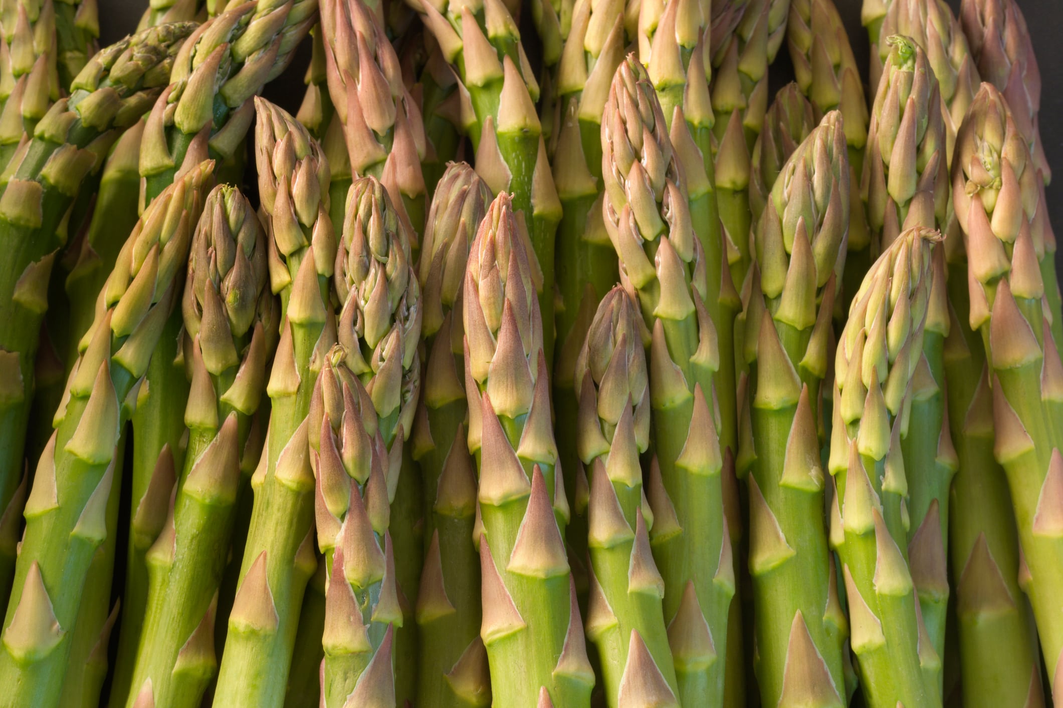Asparagus extract shows synergistic effects with exercise for improved heart fitness 
