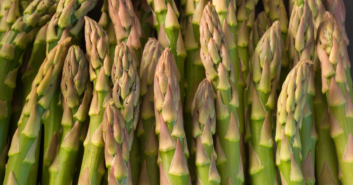 Asparagus extract shows synergistic effects with exercise for improved heart fitness Asparagus extract shows synergistic effects with exercise for improved heart fitness