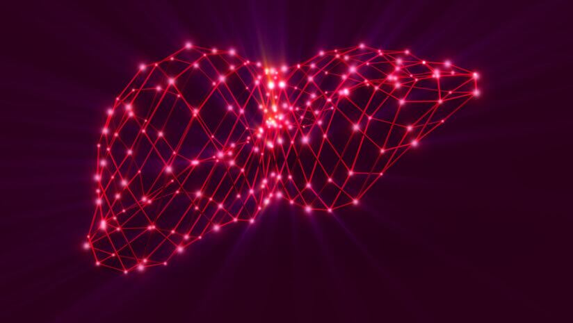 Probiotic combination may boost liver function: Study