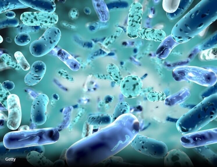 ‘Personalised probiotic cocktails’ could be the future in tackling gut dysbiosis, study finds 