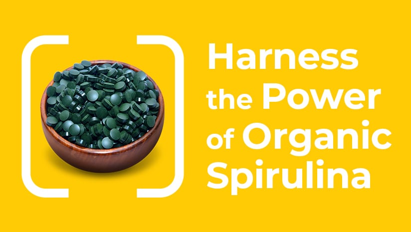 The Science of Choosing the Best Spirulina: A Guide