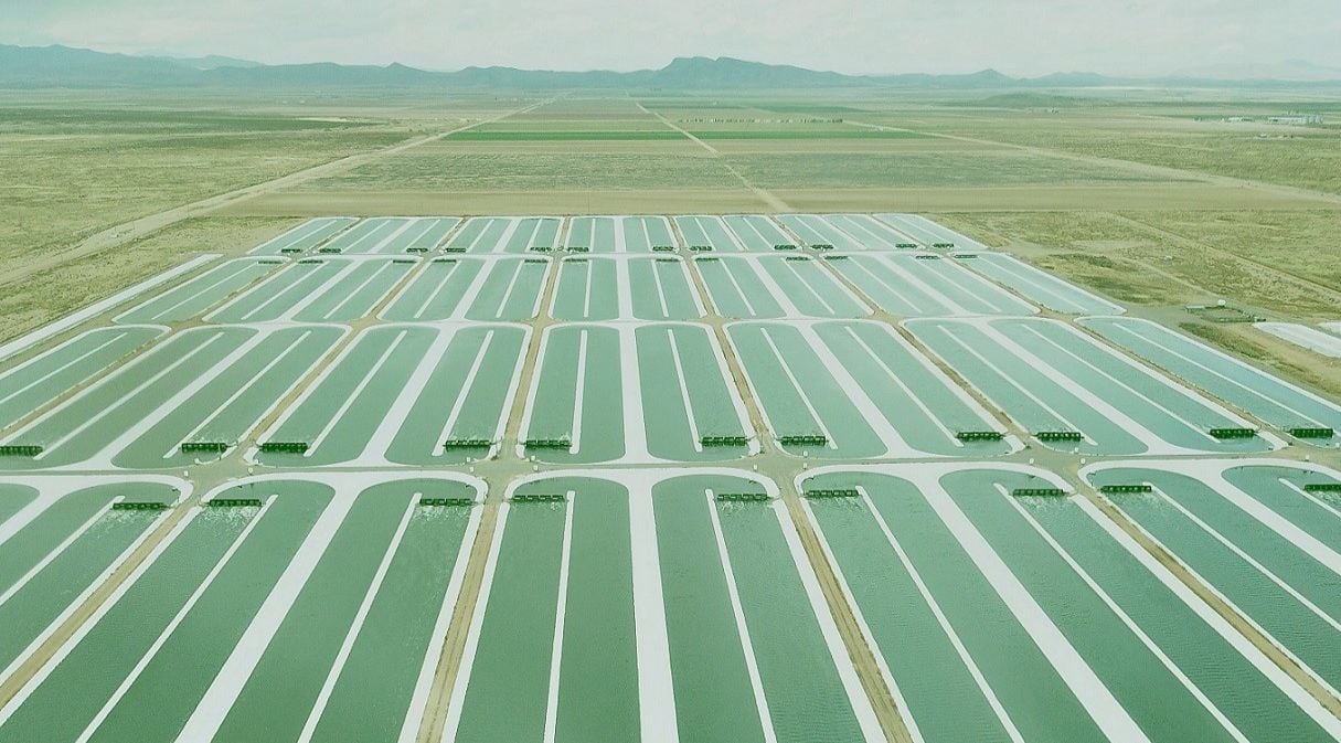 Algae cultivator Qualitas Health (DBA iwi) closes first round of new investment 