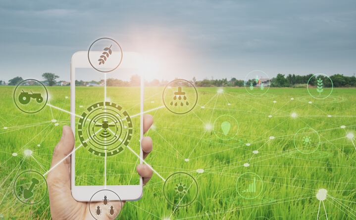 Traceability tactics: BYHEALTH to beef up messaging via ‘hero’ milk thistle product