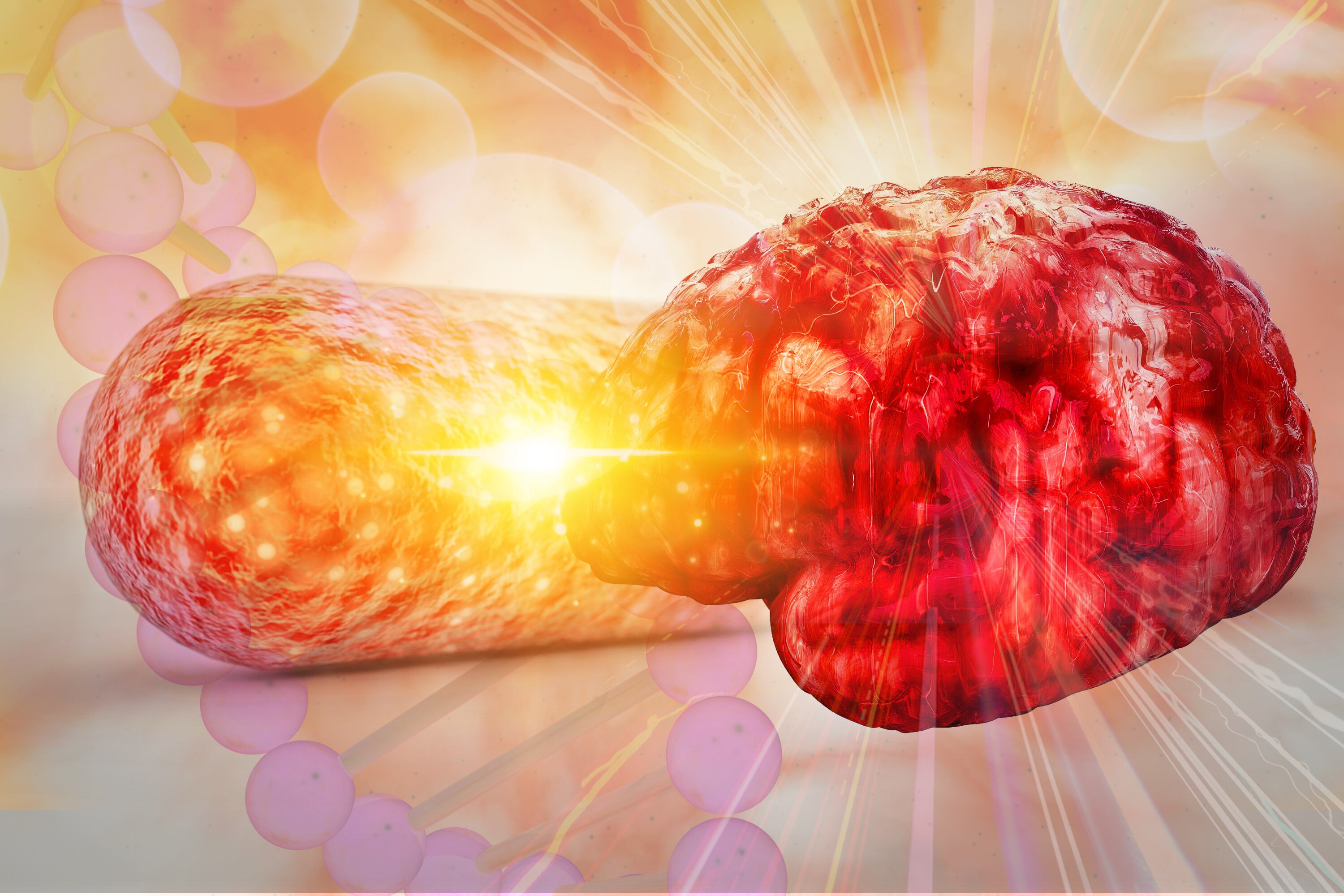 gut bacteria and brain Gut Bacteria and Epilepsy; Zika Neurological Risk; Diagnosing Brain eating bacteria