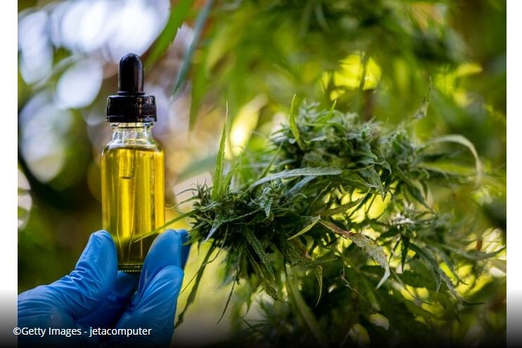 The FSA issues warning on responsible CBD food marketing