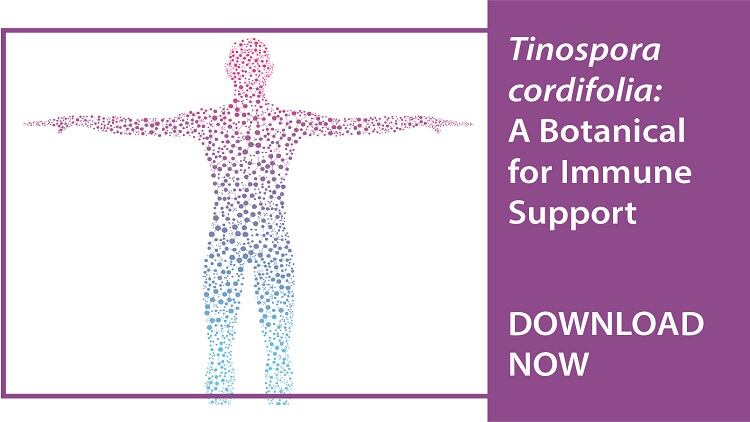 Tinospora-cordifolia-An-Ayurvedic-Botanical-for-Immune-Support.jpg
