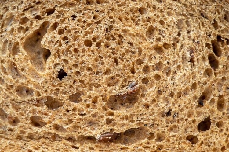 Natasha-dietary-fibre-bread-Savvapanf-Photo.jpg