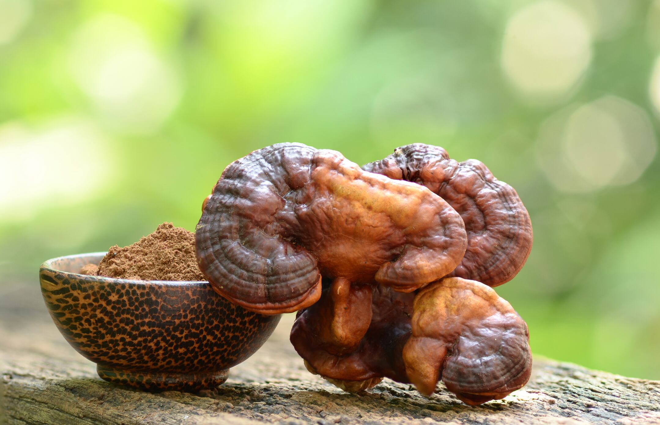 "The market is full and continuing to grow and this creates more of a challenge for consumers to make decisions on what products they want to purchase," said Regan Nally, Ph.D, senior research scientist at Fungi Perfecti.