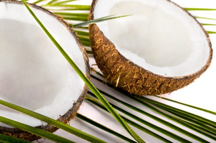 Coconut oil 'poison' row: Harvard distances itself from 'pure poison' statement in response to Indian government's wrath