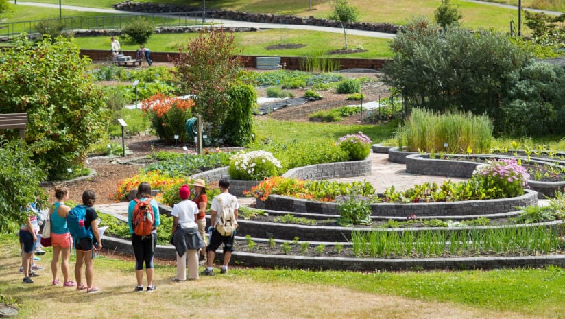 Students visit the Bastyr University Gardens in spring.