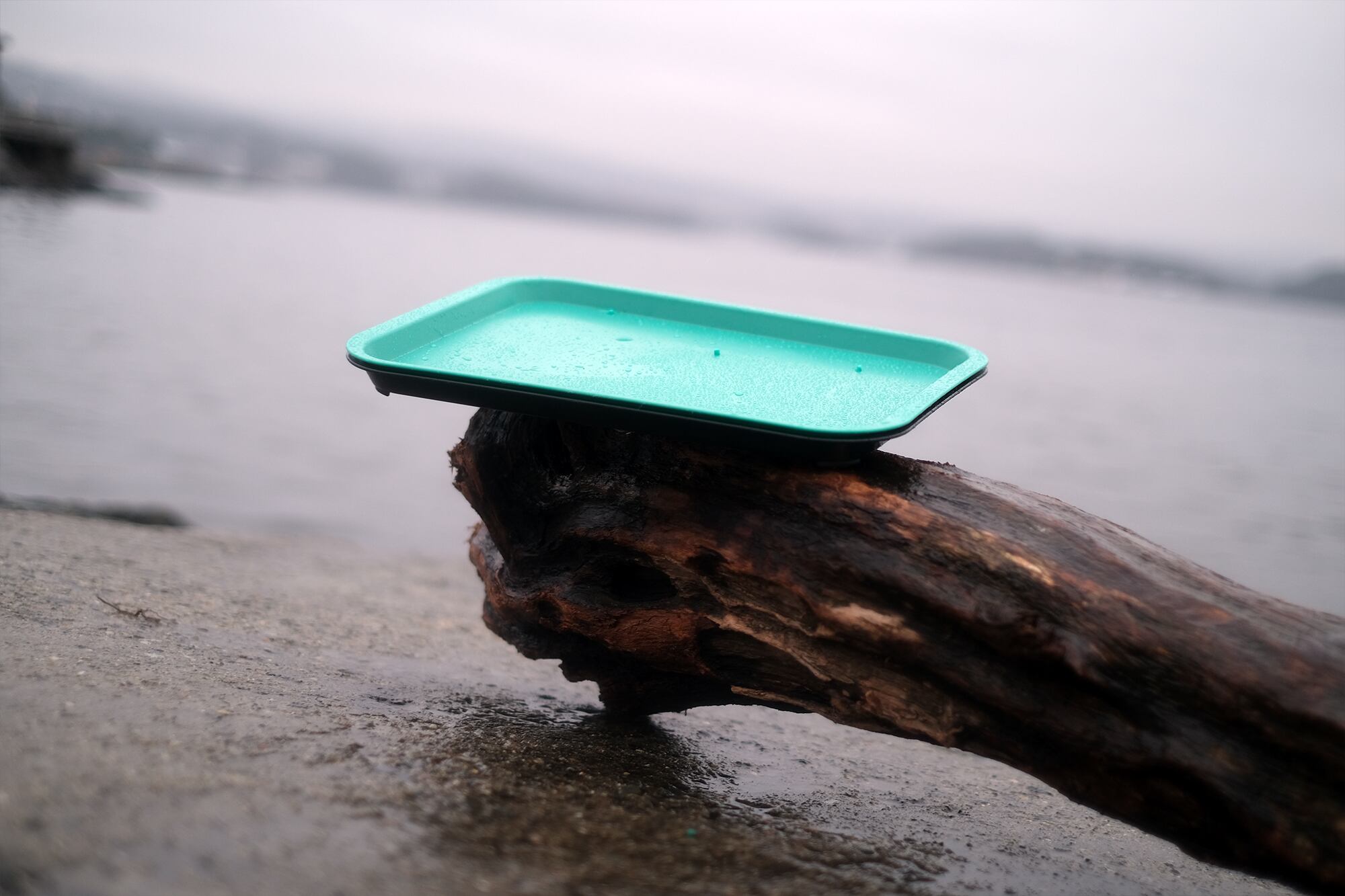 Aker-BioMarine-forms-new-business-unit-aimed-at-plastic-recycling.jpg