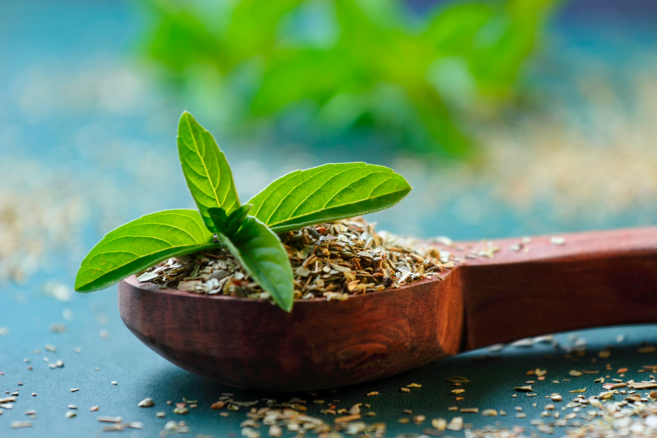 Natural Remedies adds Holixer holy basil to botanicals portfolio