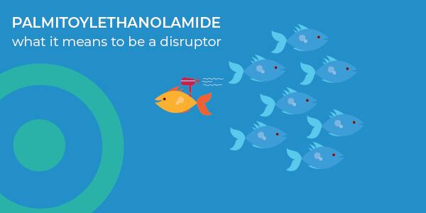 OptiPEA_palmitoylethanolamide_disruptor.jpg
