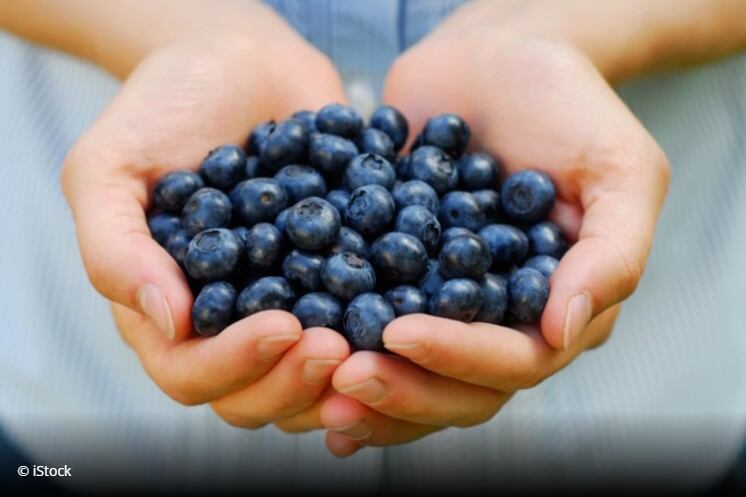 Milk-protein-may-act-as-delivery-vehicle-for-blueberry-nutrients.jpg