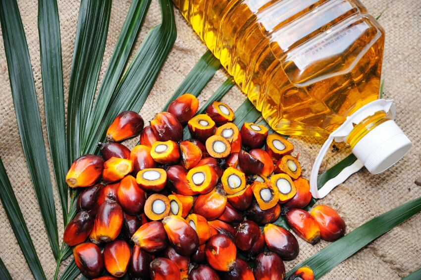 palm-oil-fruit-sustainability.jpg