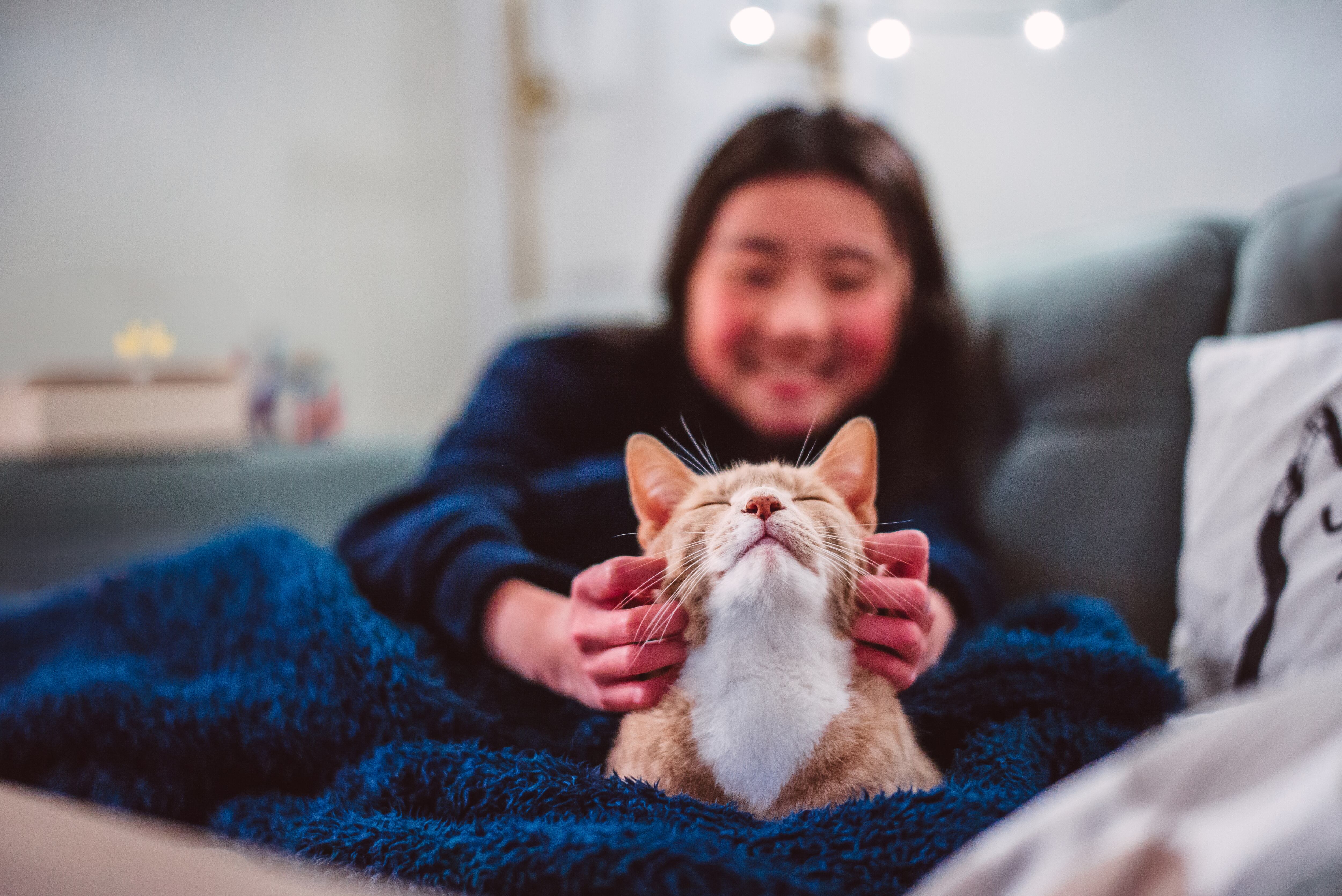 New research will reinvent old supplements for pets.