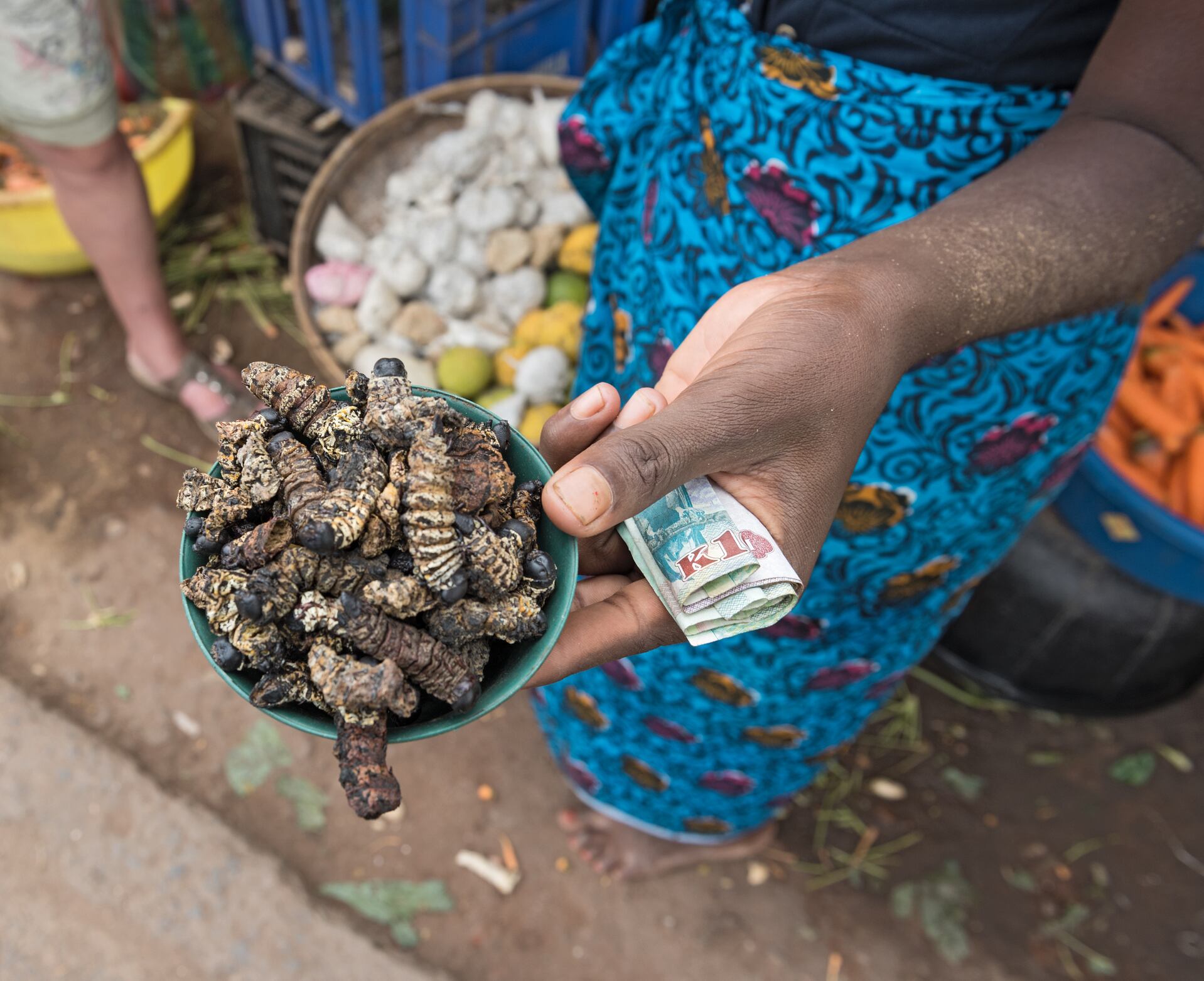 Can-Zimbabwe-worm-its-way-out-of-child-malnutrition.jpg