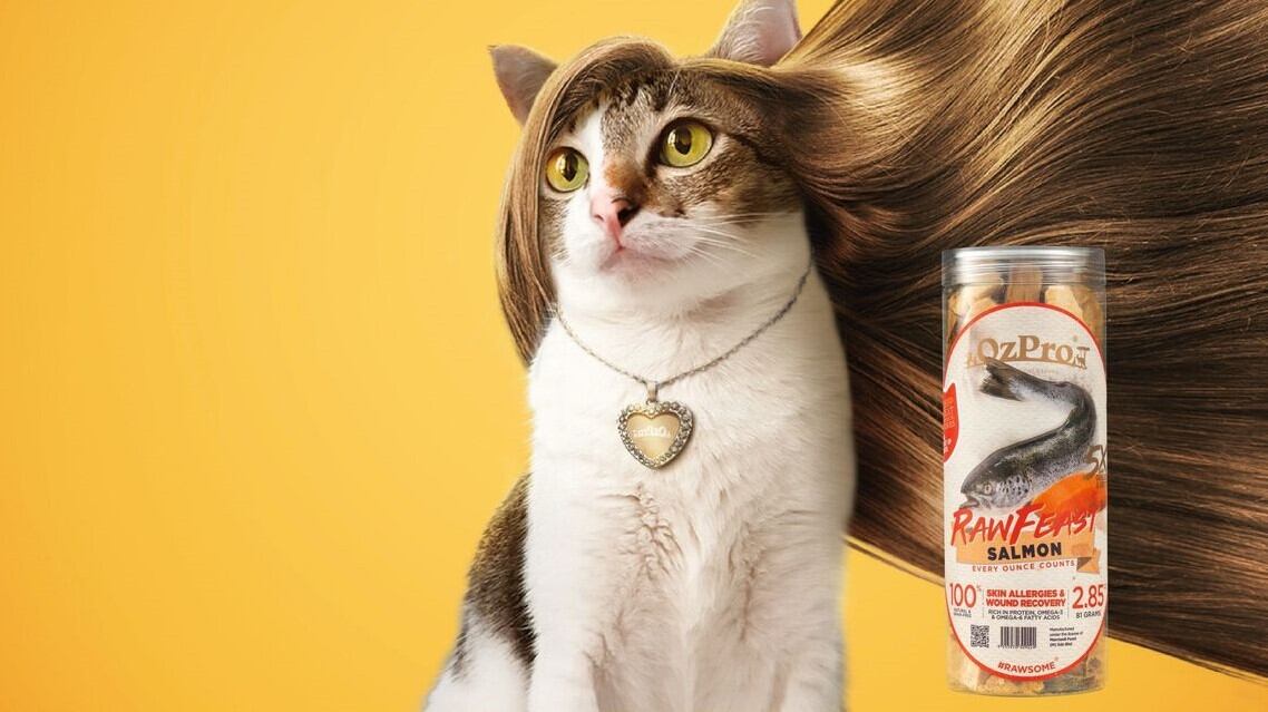 ‘Picky pets’: Malaysia’s OzPro sees supplements opportunity as owners’ nutrition knowledge grows